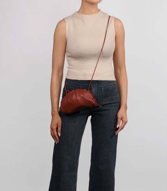 Brick Calfskin Leather Mini The Pouch