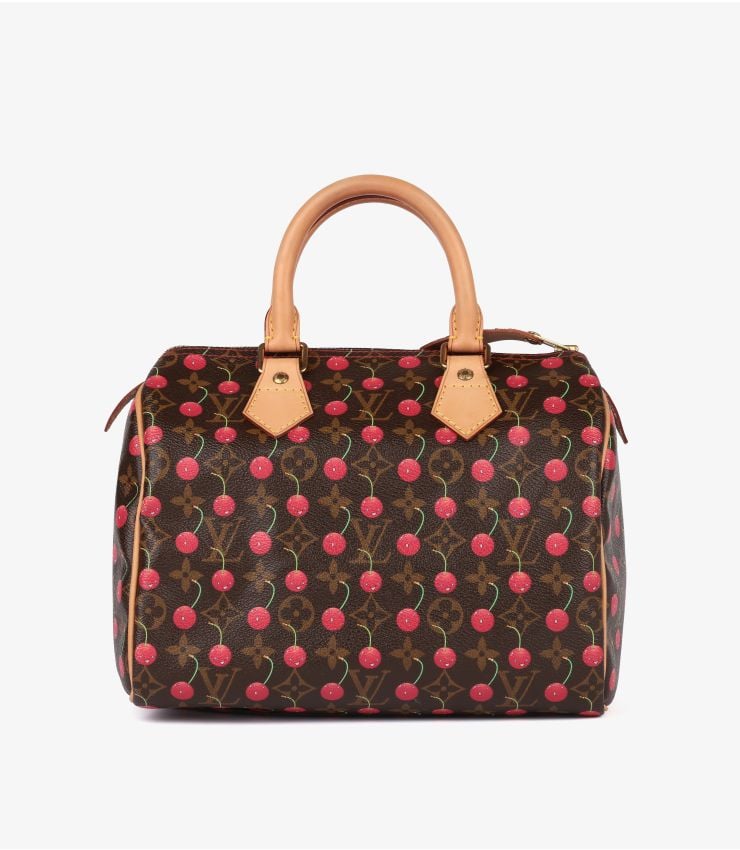 Louis Vuitton Pre-Owned Brown Coated Canvas Speedy 25 CB1620 | Xupes