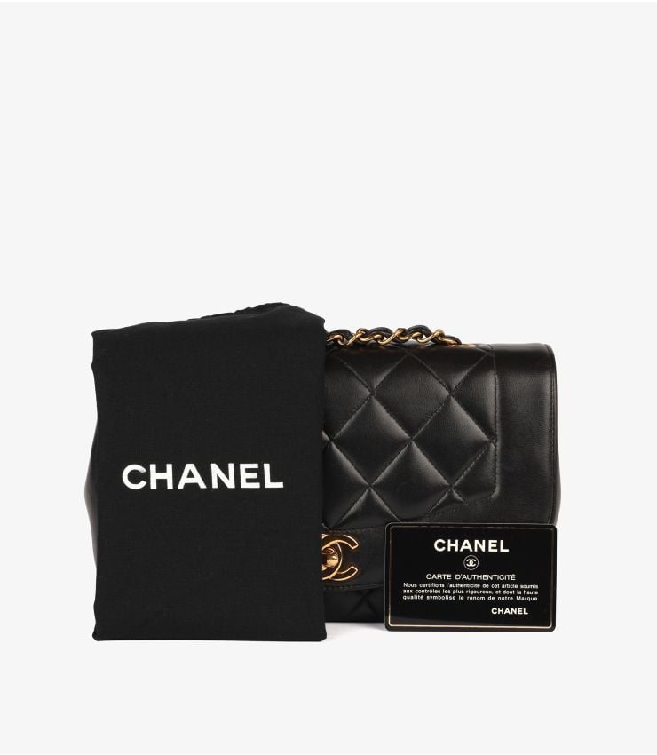 Chanel Pre-Owned Small Diana Classic Single Flap Bag HB6006 | Xupes
