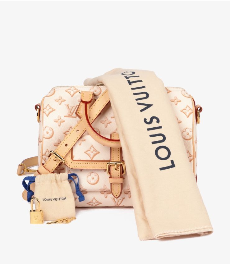 Louis Vuitton Beige Clair Fall For You Speedy 25 HB5553 | Xupes