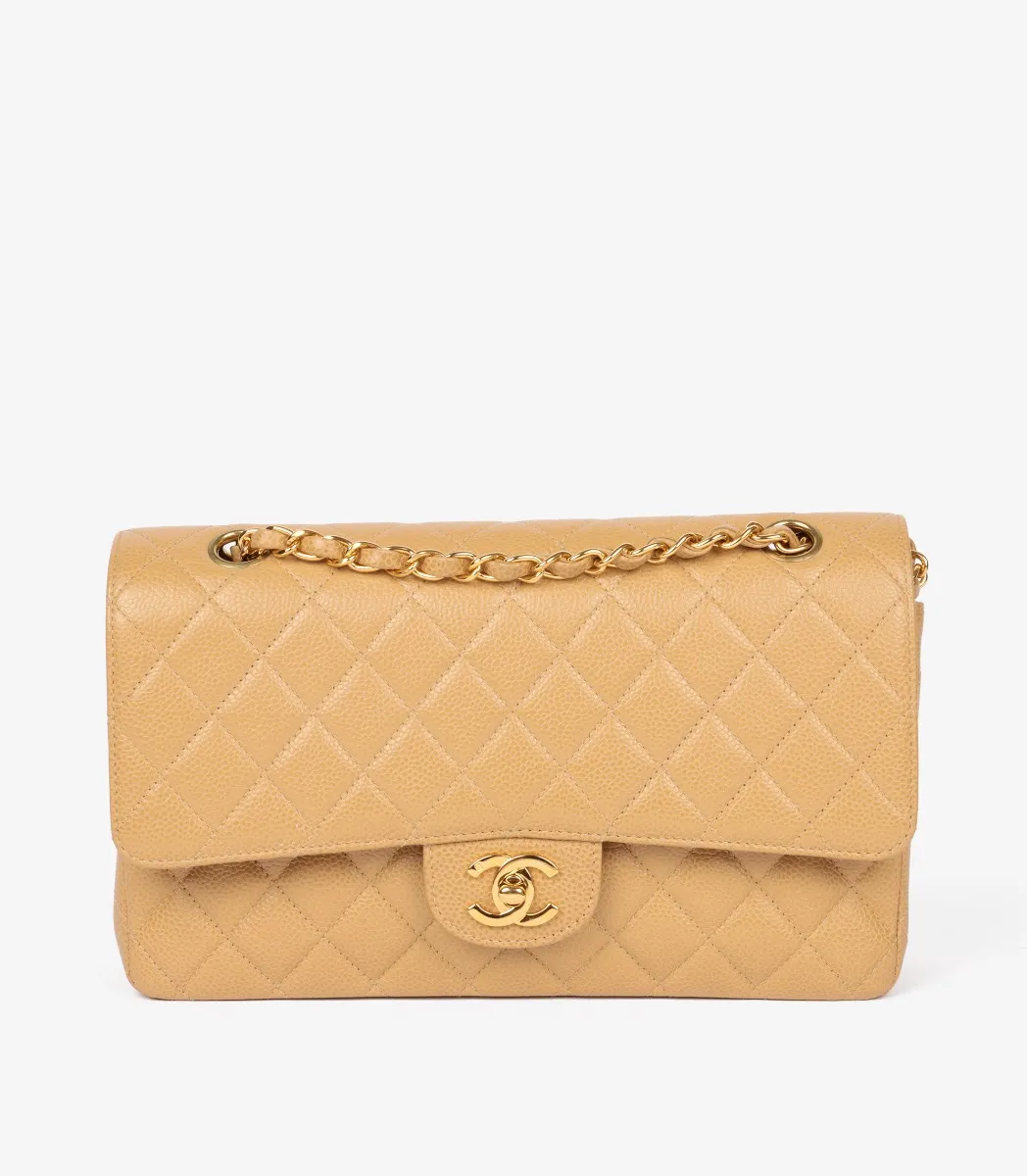 Chanel Beige Python 226 2.55 Reissue Flap Bag CB1292 | Xupes