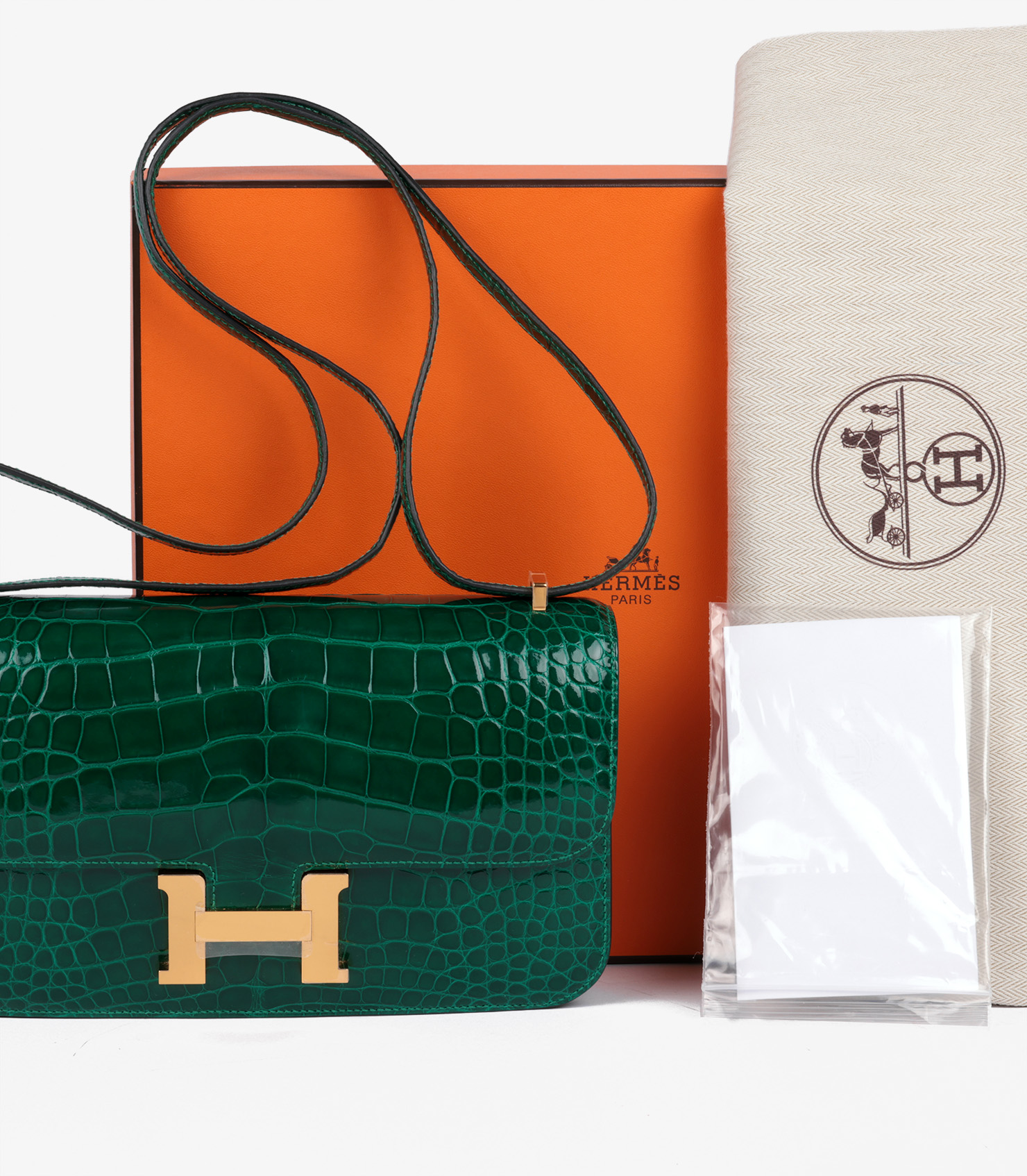 Hermes constance alligator best sale